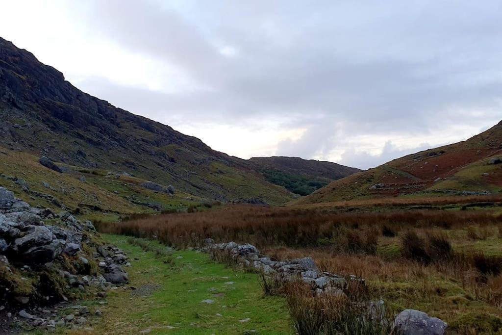 Secluded Cottage Nestled In The Beara Peninsula Killarney Exterior foto